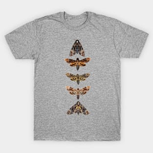 Death Head Moth | Skull Moth | Death Moth | Hawk Moth T-Shirt